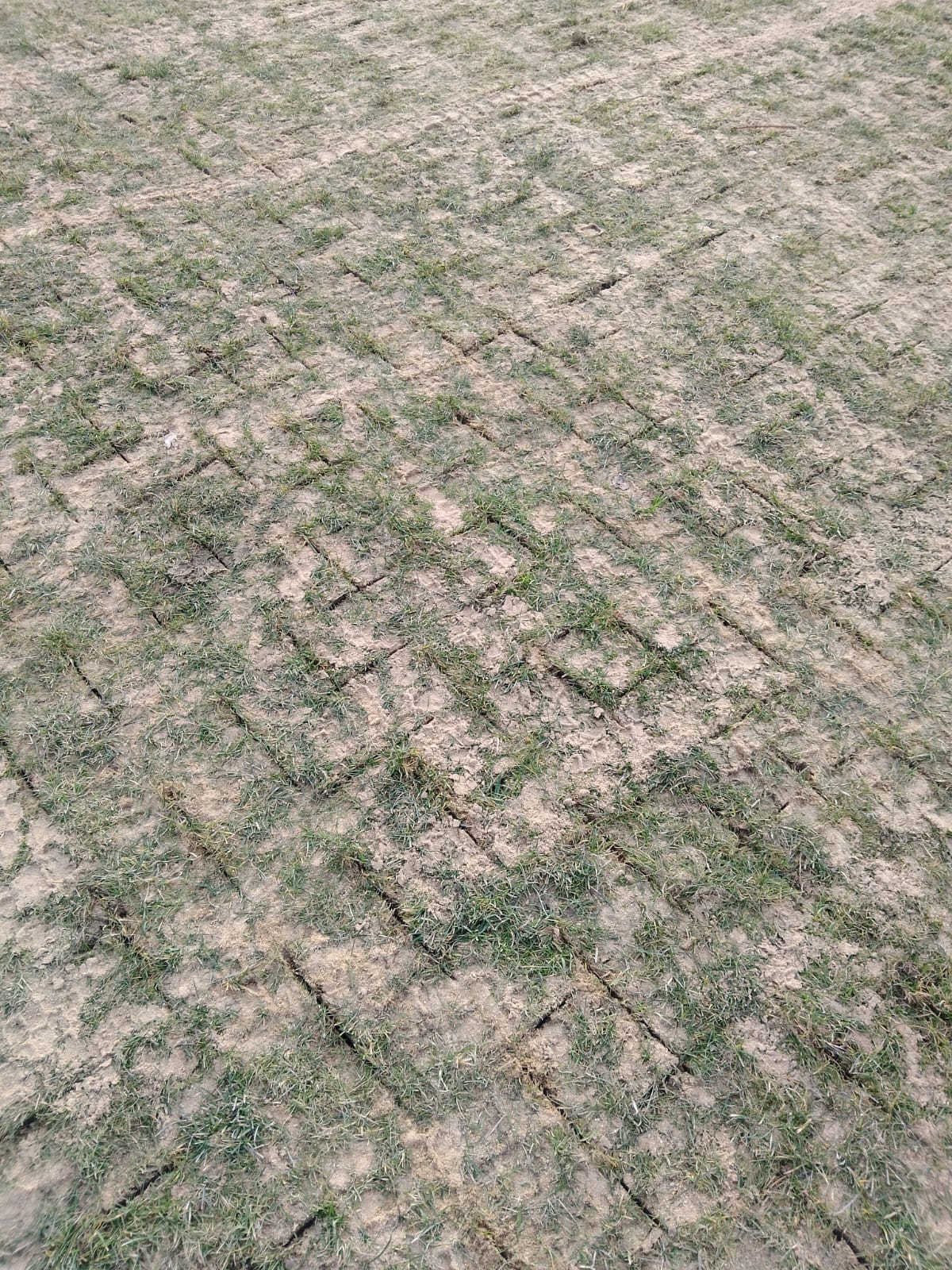 Aeracja pasywna liniowa sliting murawy sportowej